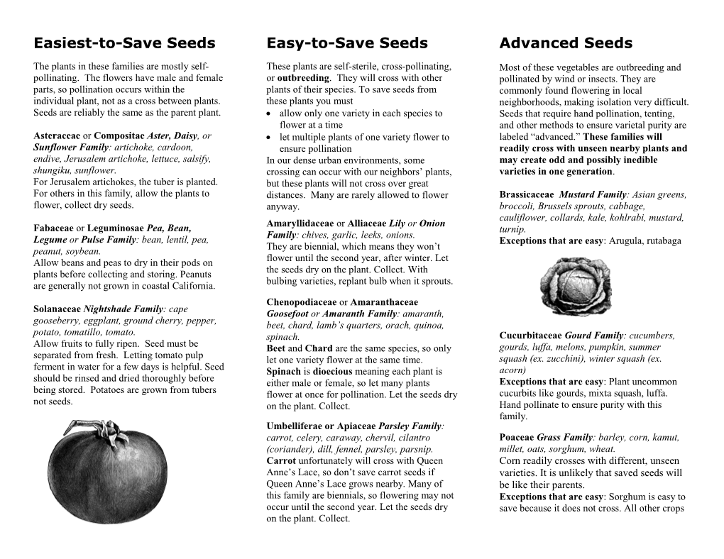 Easiest-To-Save Seeds
