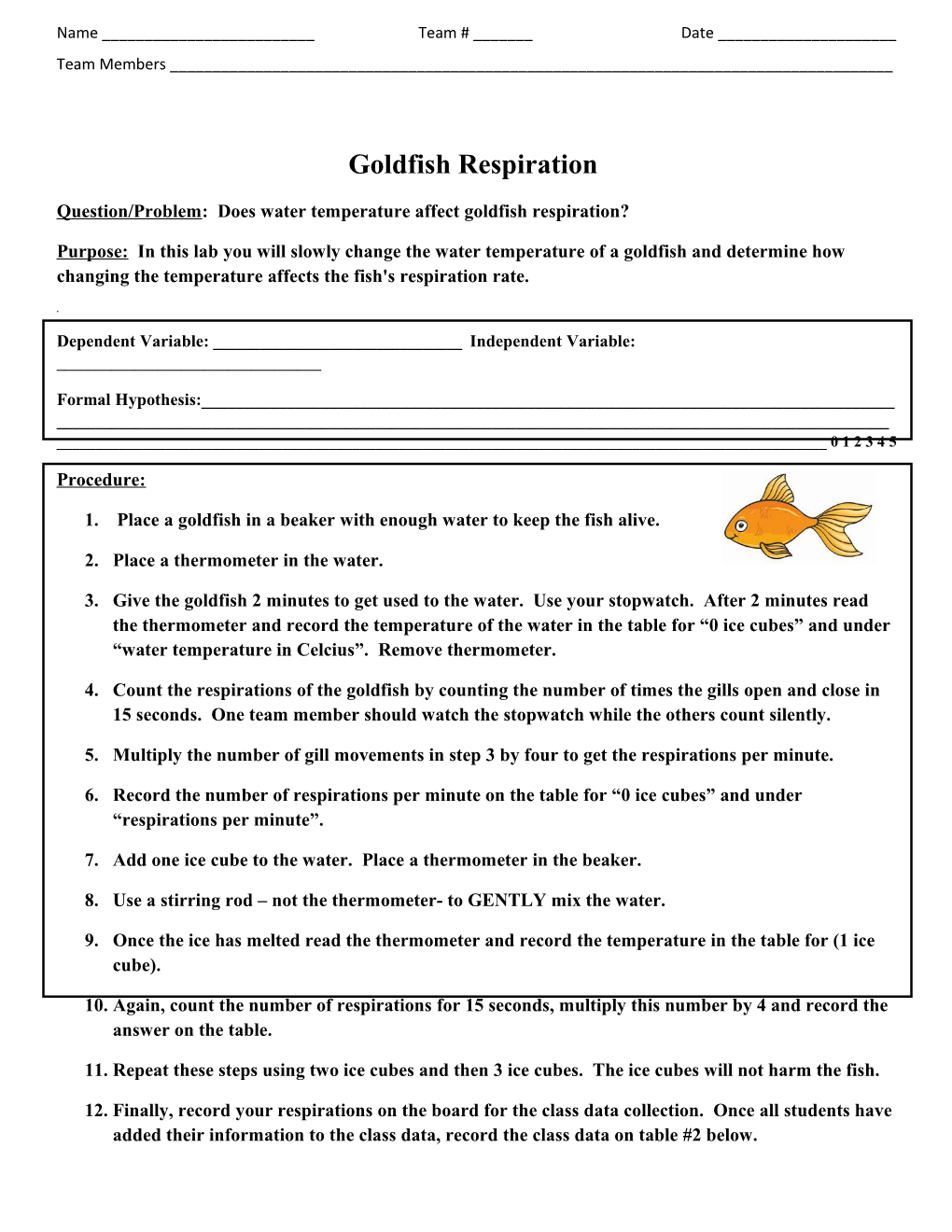 Goldfish Respiration