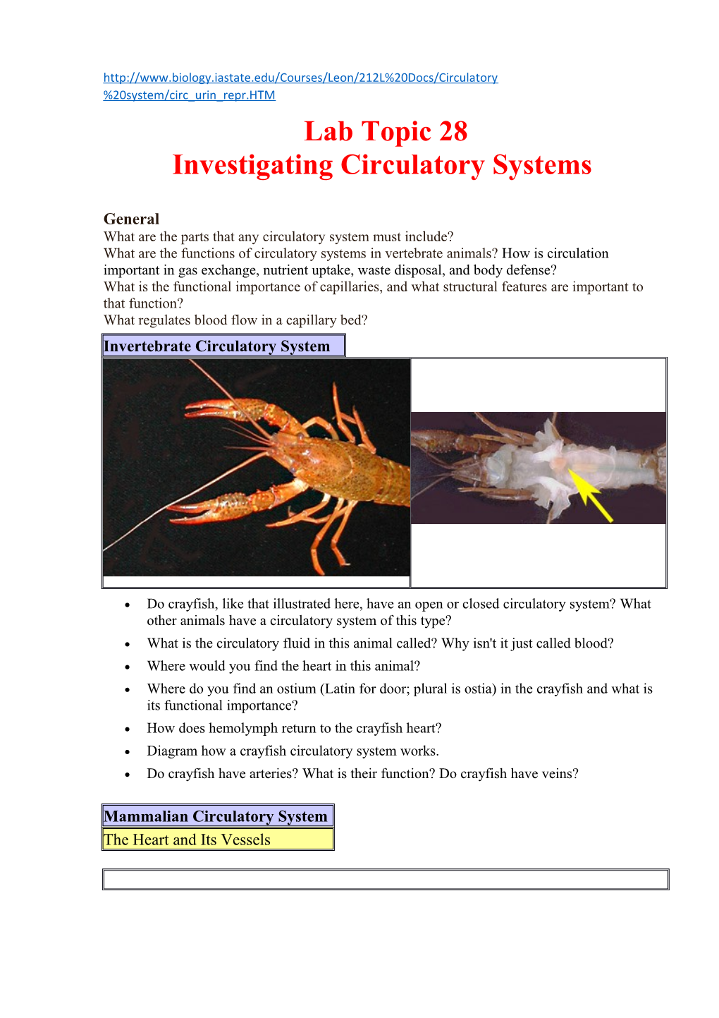 Lab Topic 28 Investigating Circulatory Systems