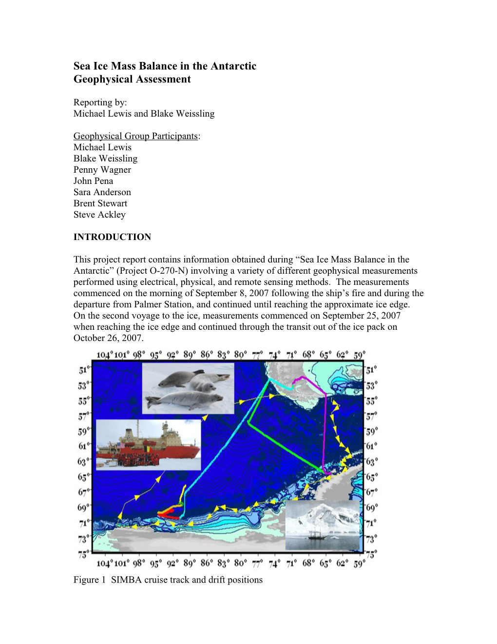 Sea Ice Mass Balance in the Antarctic