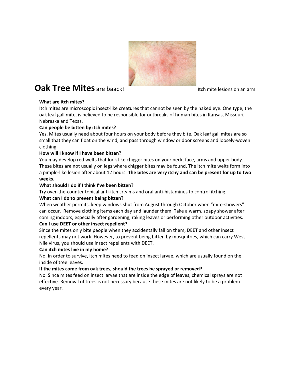 Oak Tree Mitesare Baack! Itch Mite Lesions on an Arm