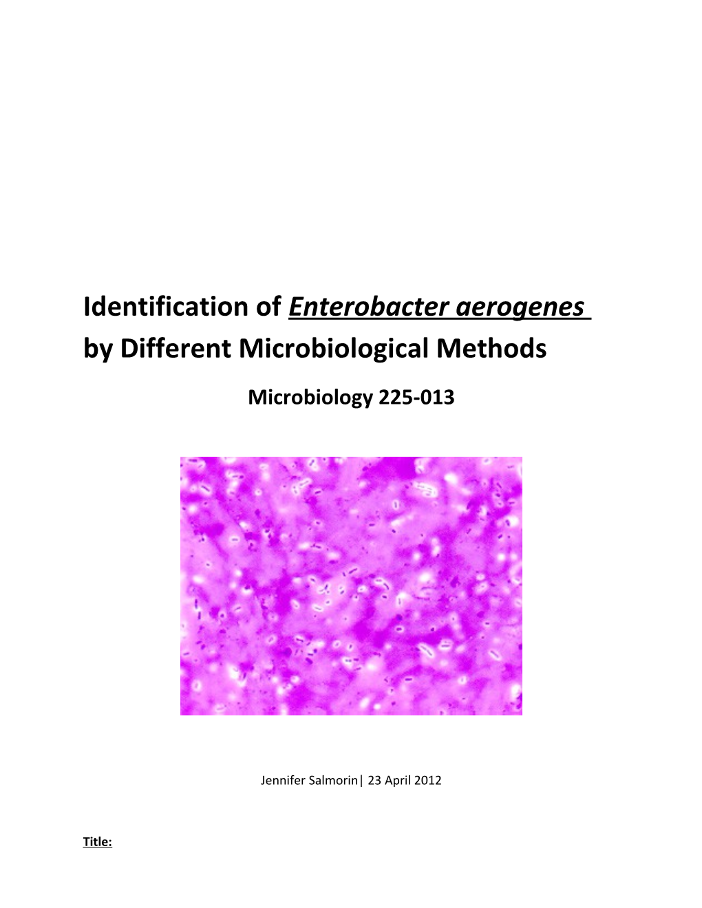 Identification of Enterobacter Aerogenes by Different Microbiological Methods