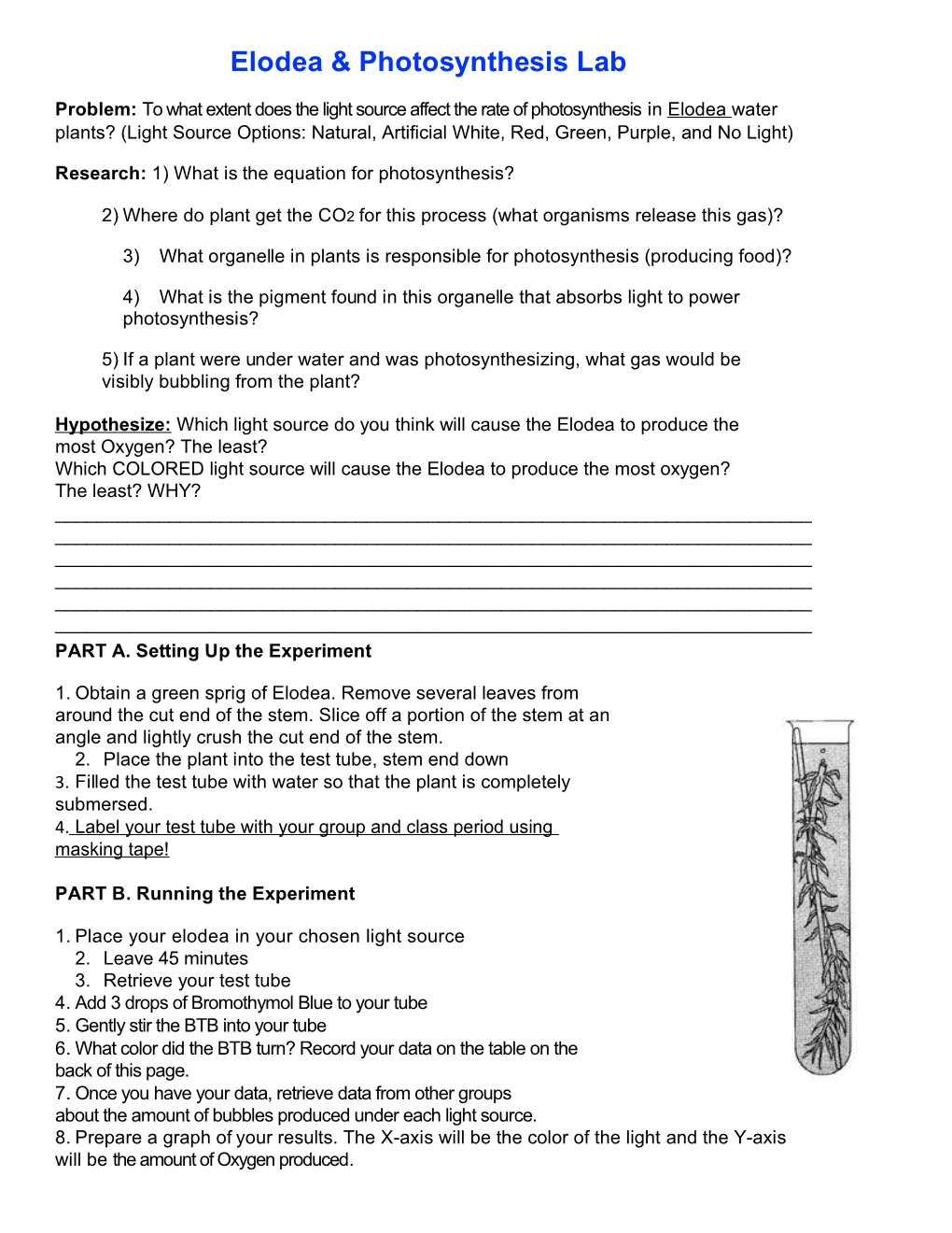 Research:1)Whatis Theequationforphotosynthesis?