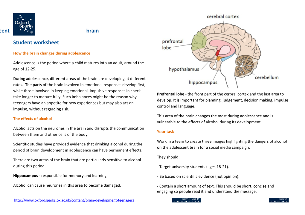 Alcohol and the Adolescent Brain