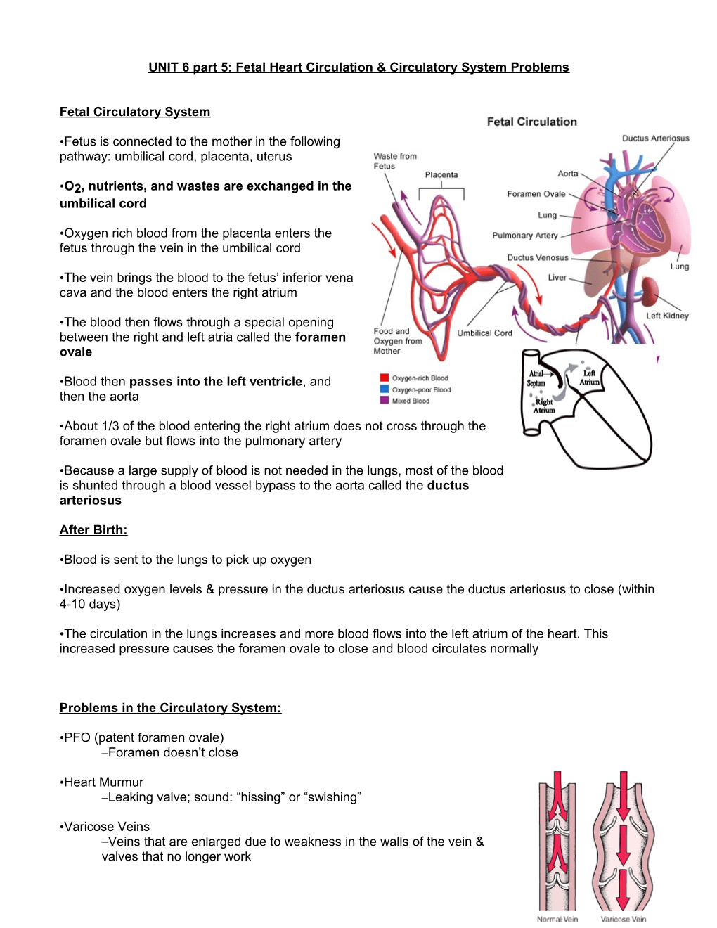 UNIT 6 Part 5: Fetal Heart Circulation & Circulatory System Problems