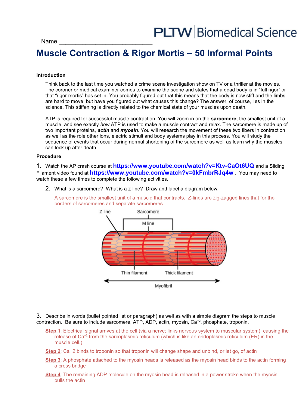 Muscle Contraction & Rigor Mortis 50 Informal Points
