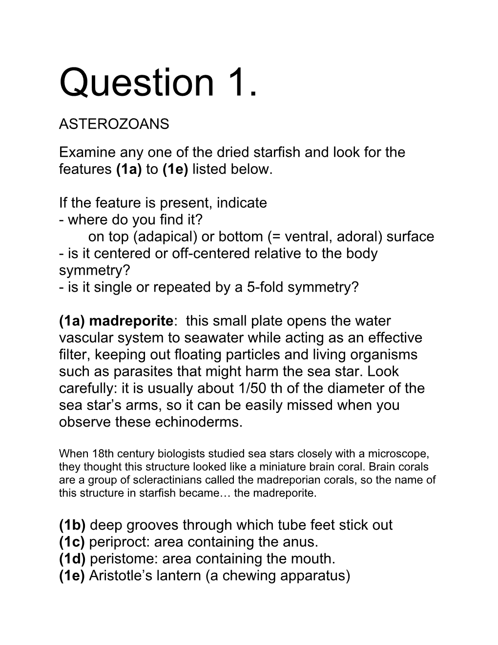 Examine Any One of the Dried Starfish and Look for the Features (1A) to (1E) Listed Below