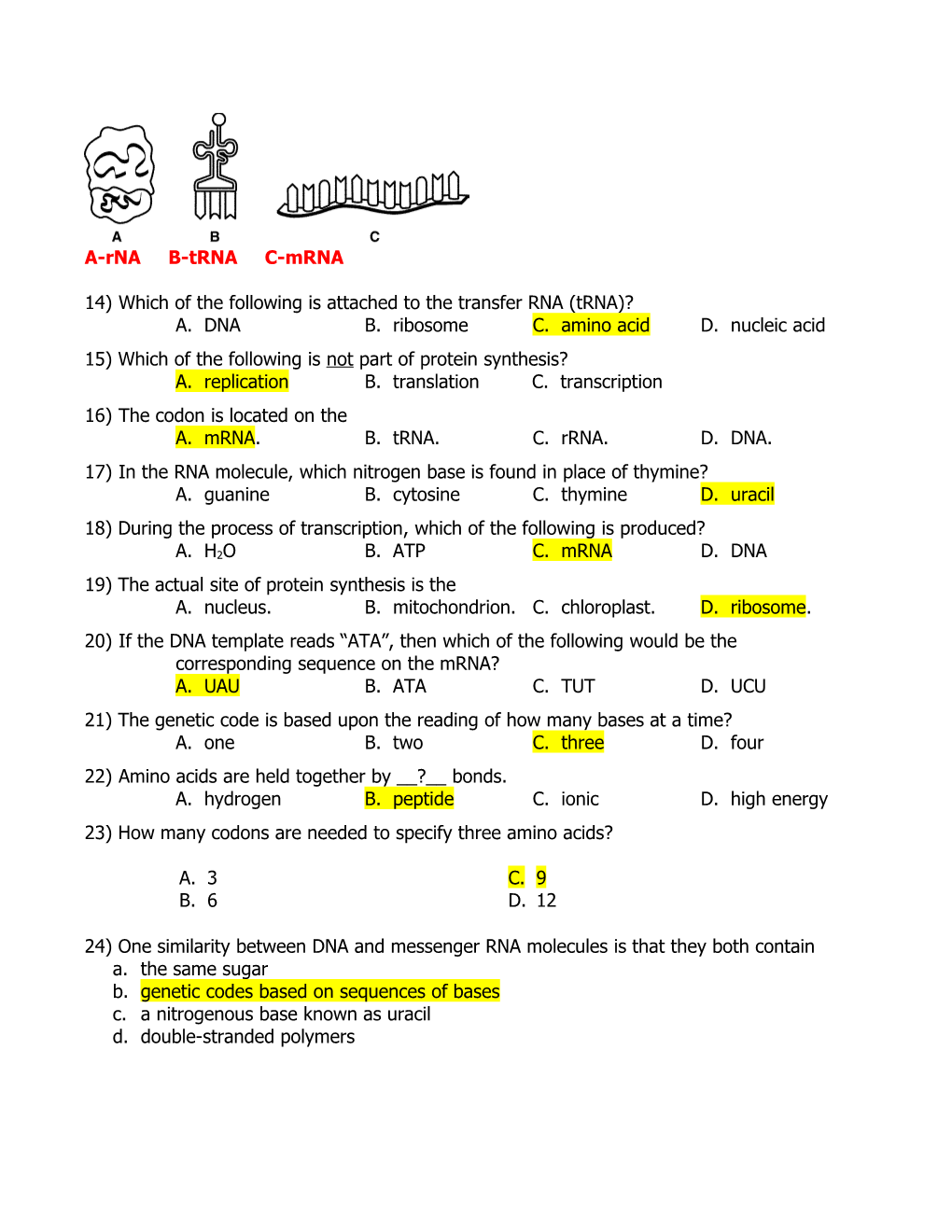 RNA and Protein Synthesis Quiz