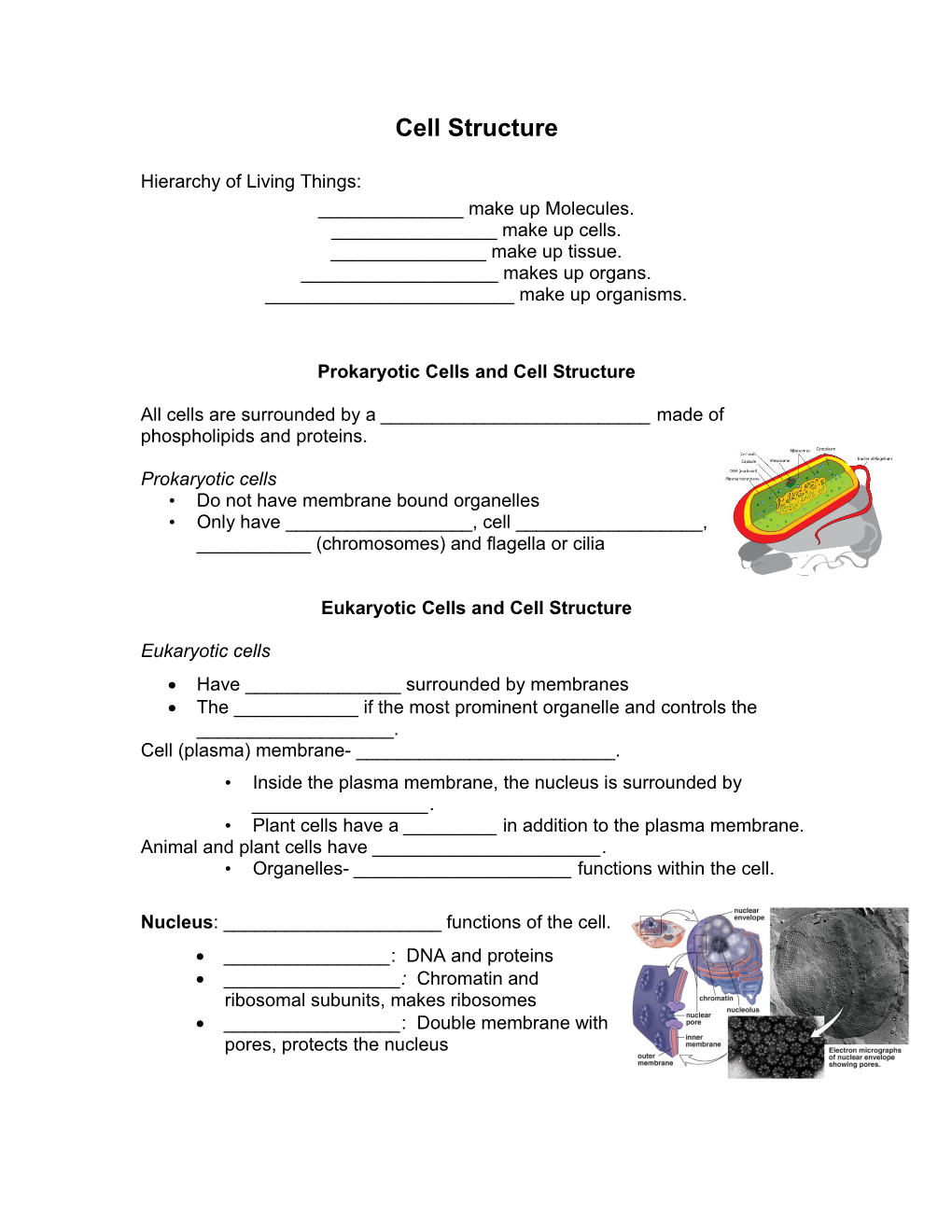 Eukaryotic Cells and Cell Structure