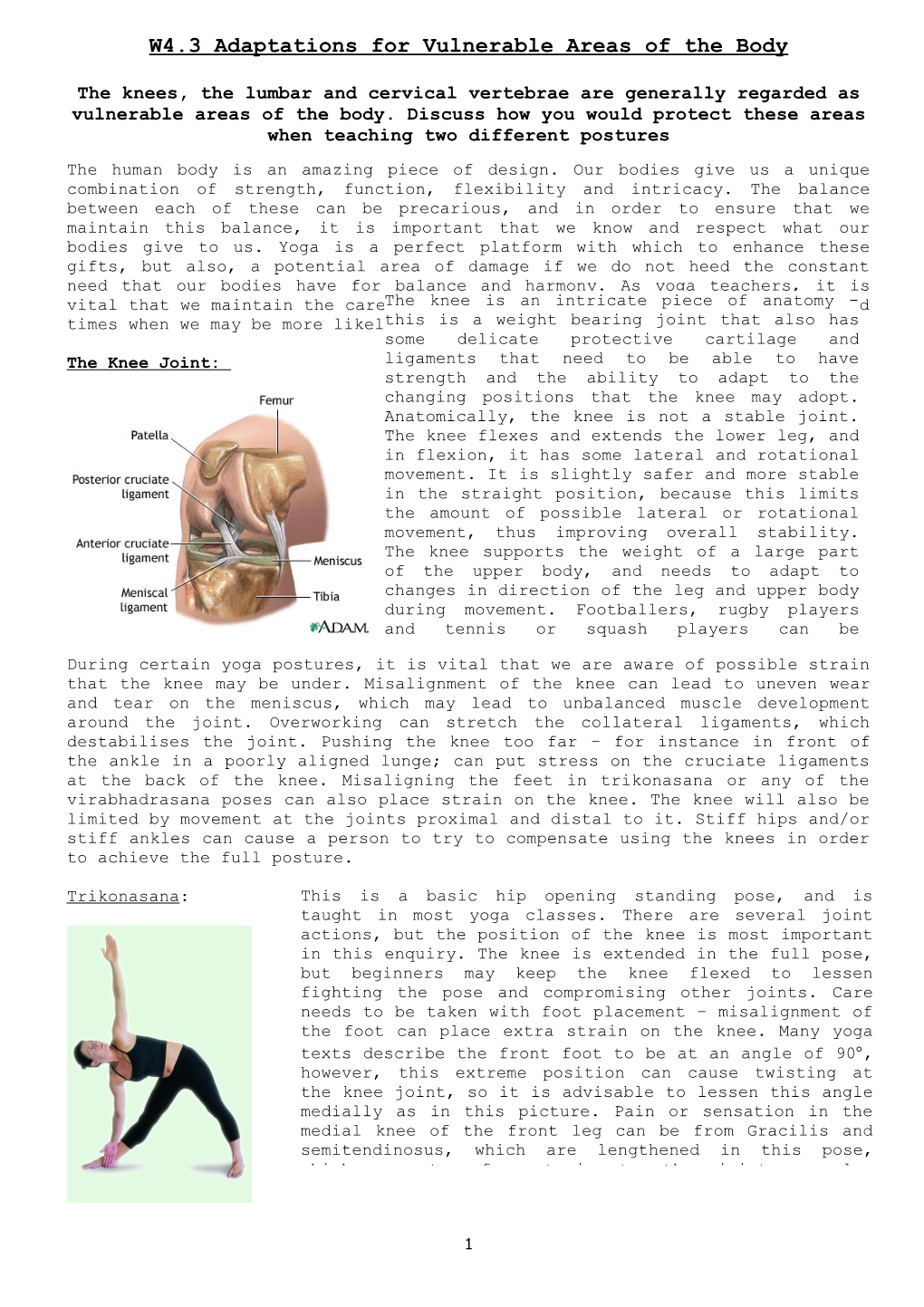 W4.3 Adaptations for Vulnerable Areas of the Body