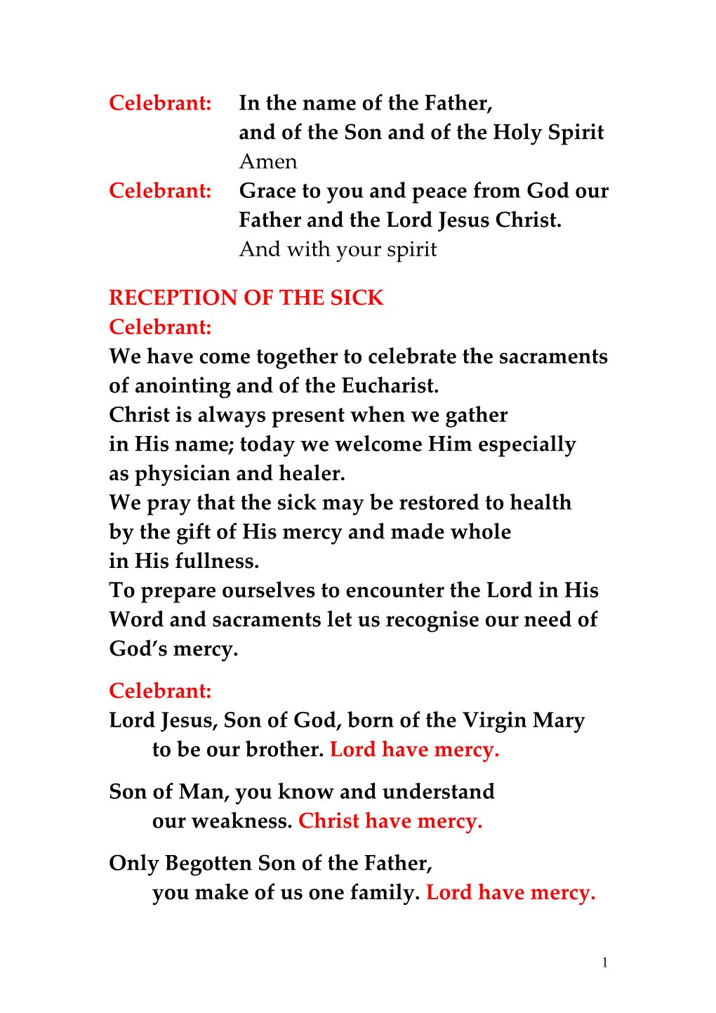 5Th Sunday in Ordinary Time - World Day of the Sick 2012