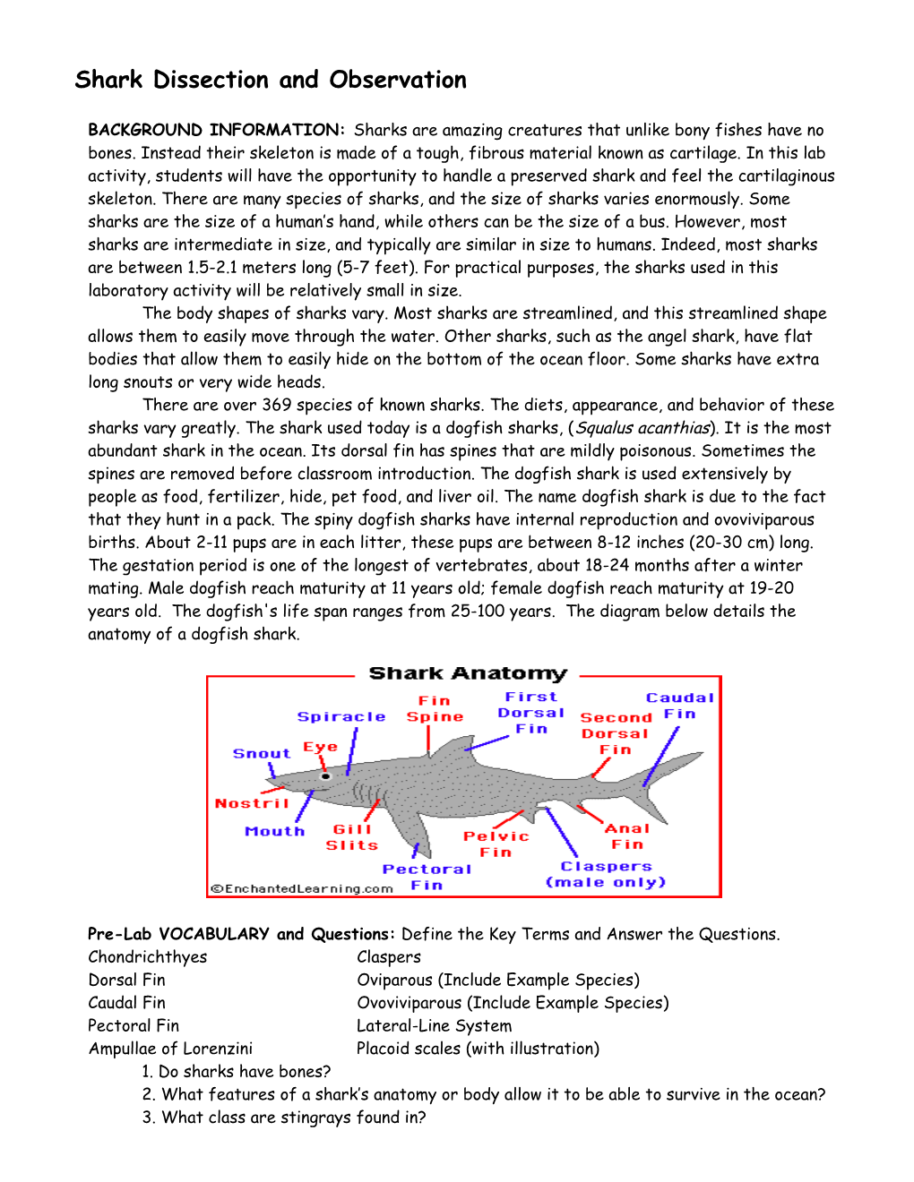 Environmental Education Lesson Plan Format