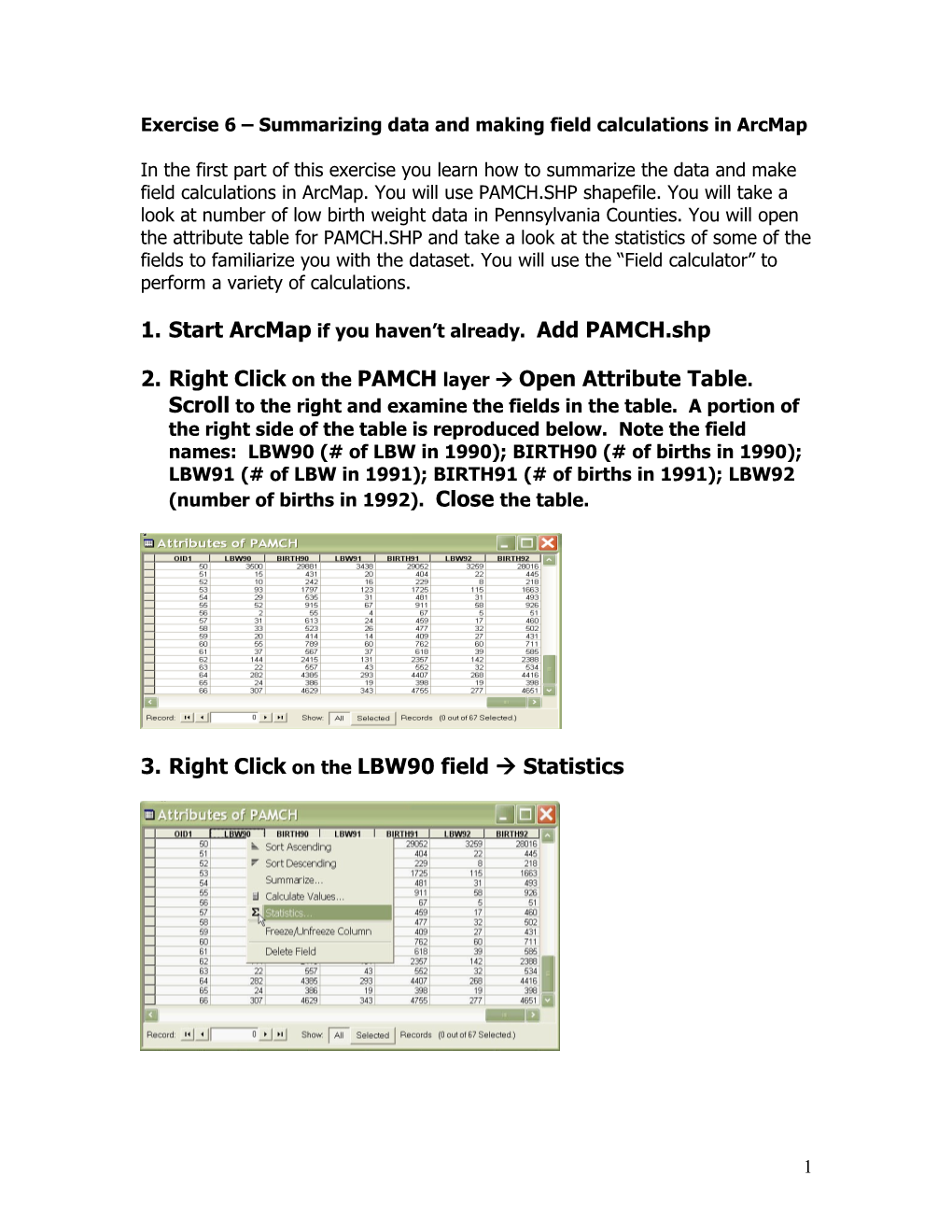 Exercise 1 Summarizing Data and Generating Field Statistics in Arcmap