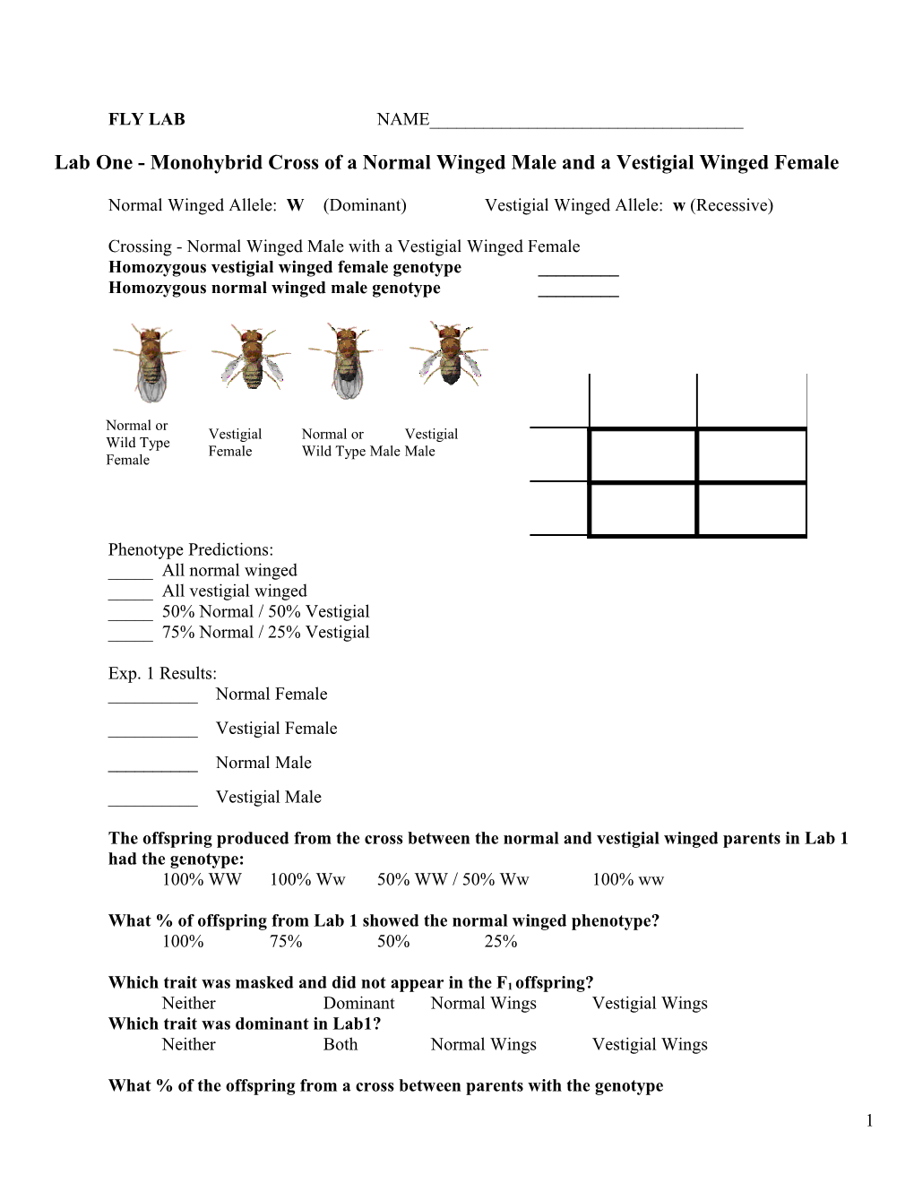 Lab One - Monohybrid Cross of a Normal Winged Male and a Vestigial Winged Female