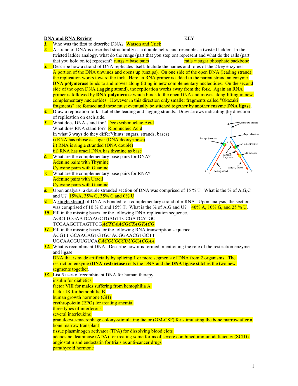 DNA and RNA Review