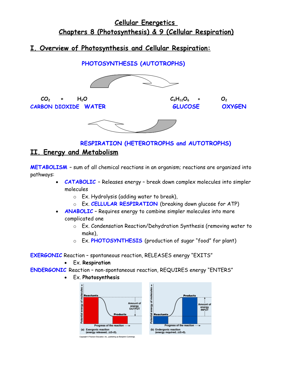 Introduction to Metabolism