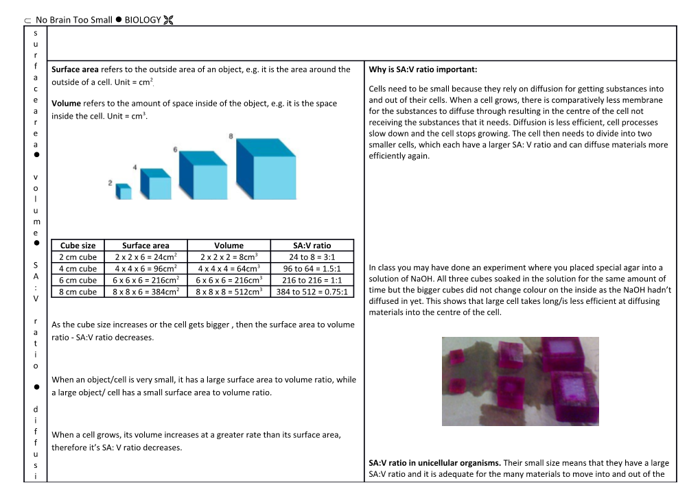 Surface Area to Volume