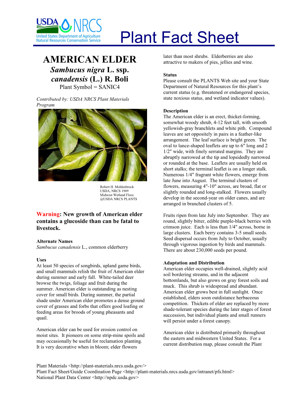 Warning: New Growth of American Elder Contains a Glucoside Than Can Be Fatal to Livestock