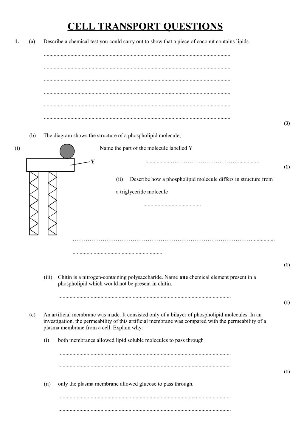 Cell Transport Questions