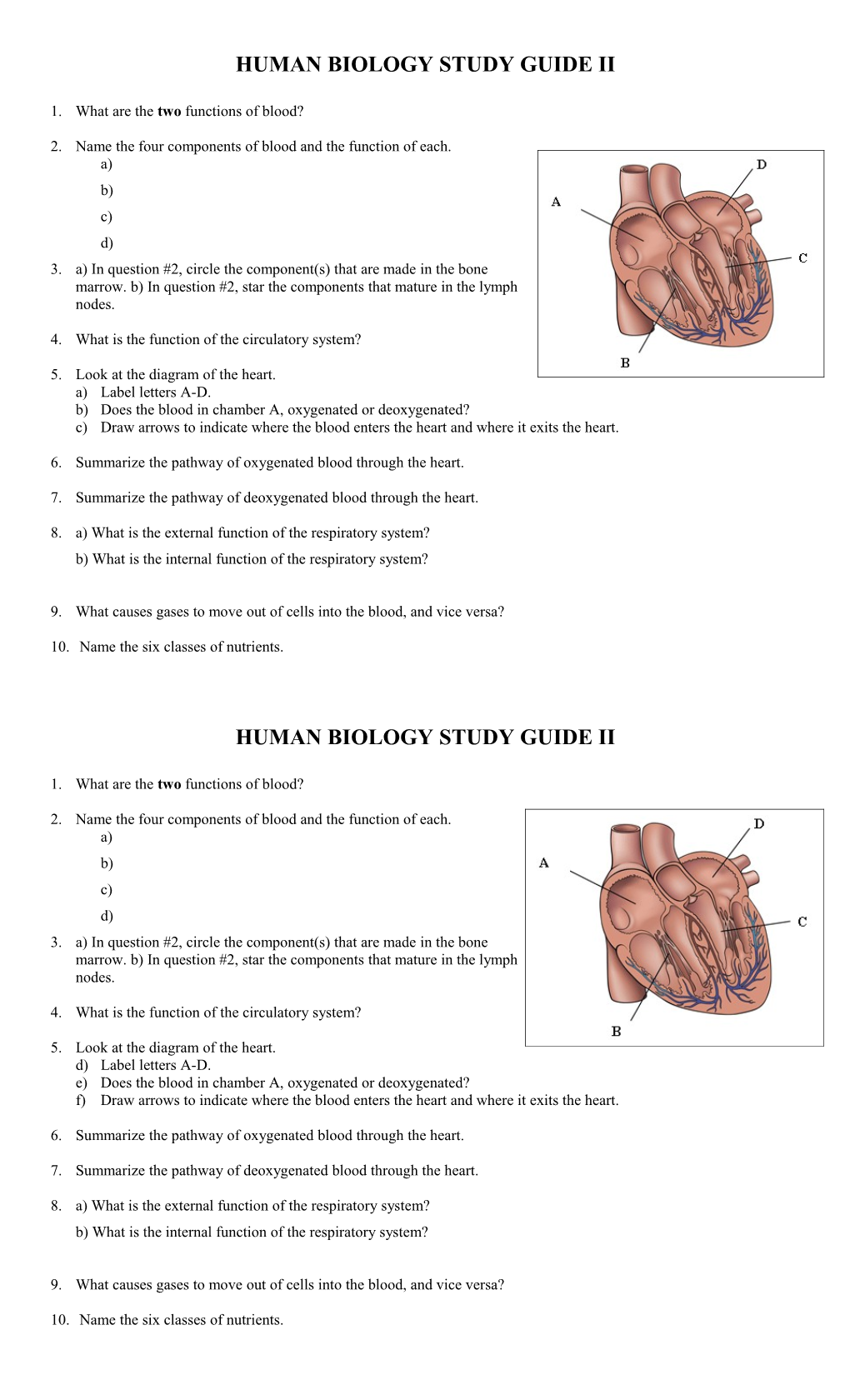 Human Biology Study Guide Ii