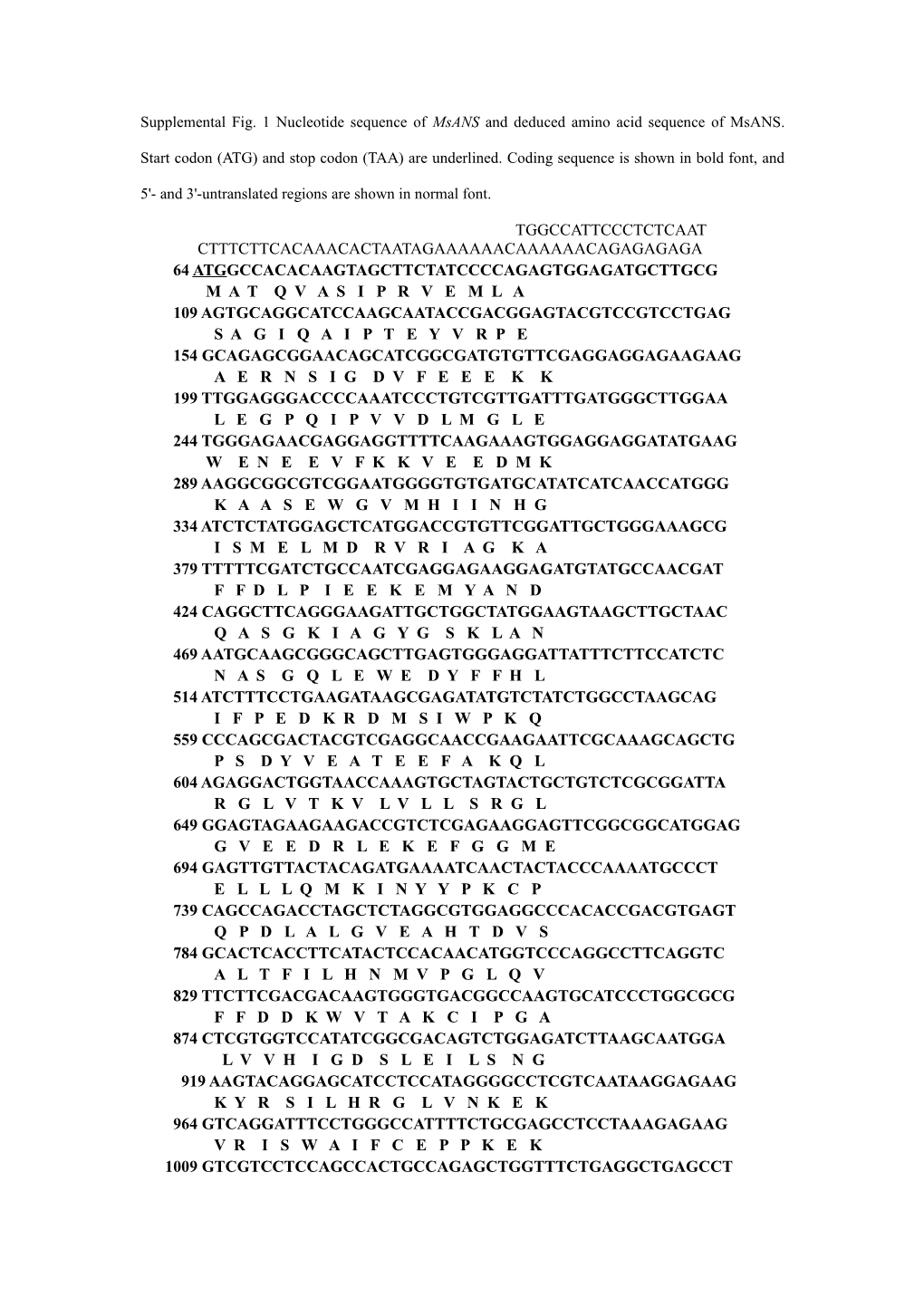 Supplemental Fig. 1 Nucleotide Sequence of Msans and Deduced Amino Acid Sequence of Msans