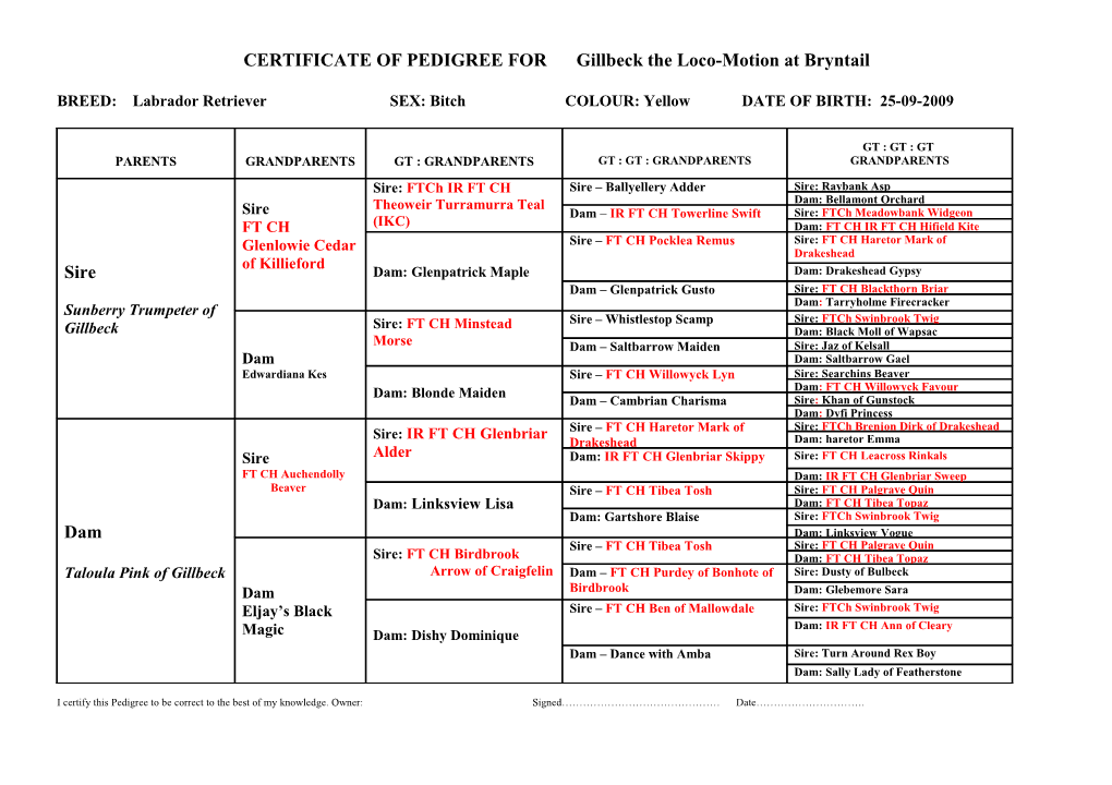 CERTIFICATE of PEDIGREE for Gillbeck the Loco-Motion at Bryntail