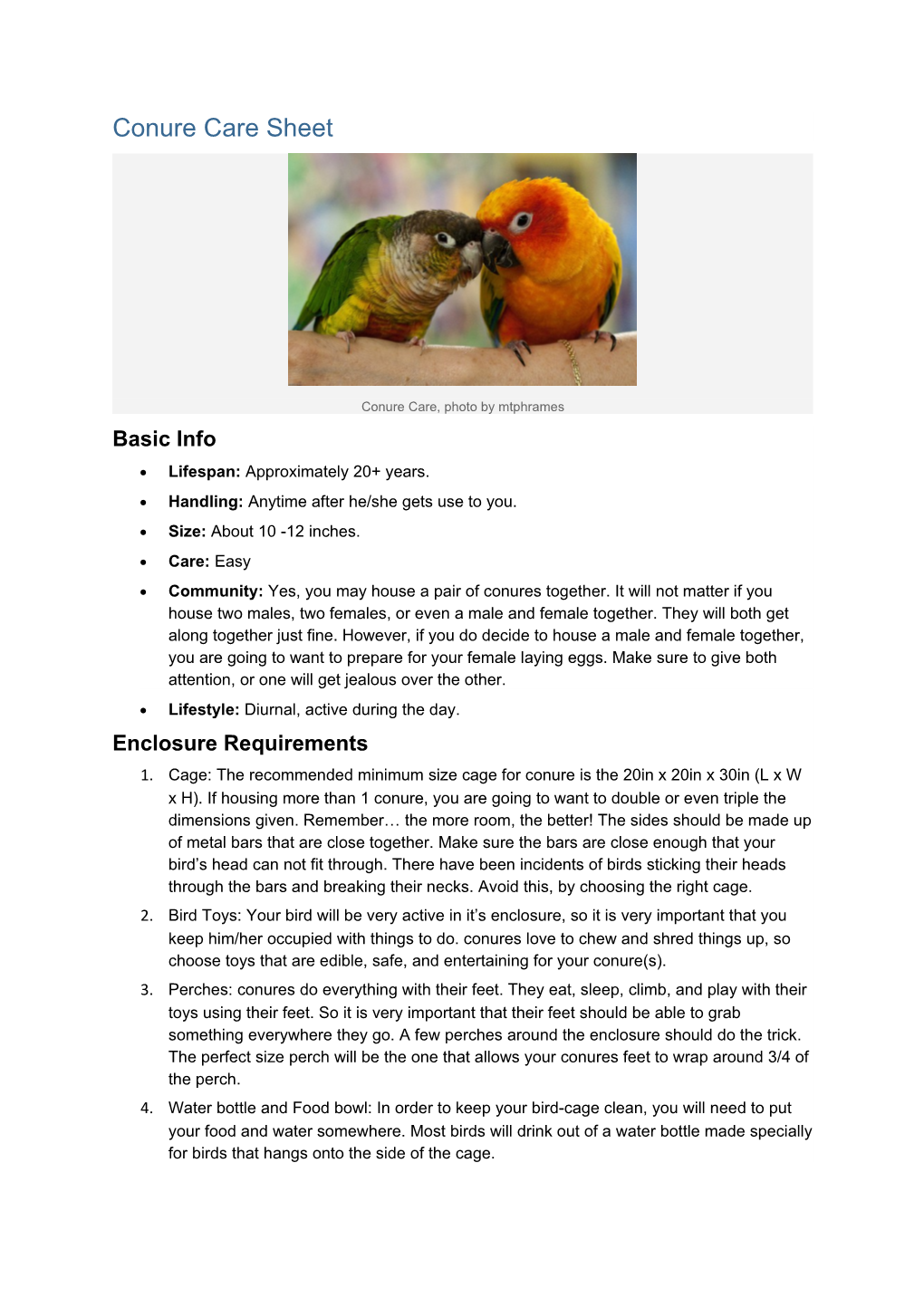 Conure Care, Photo by Mtphrames