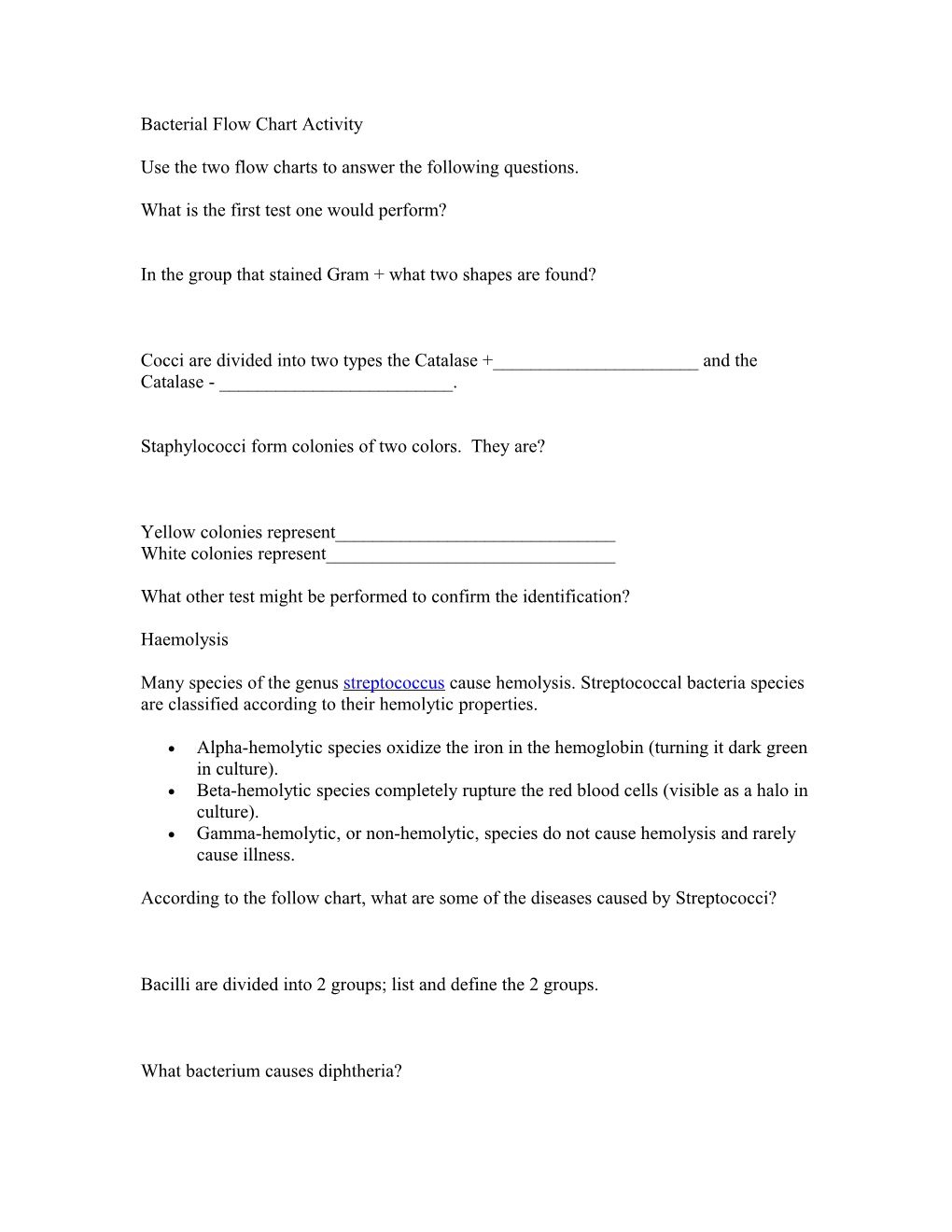 Bacterial Flow Chart Activity