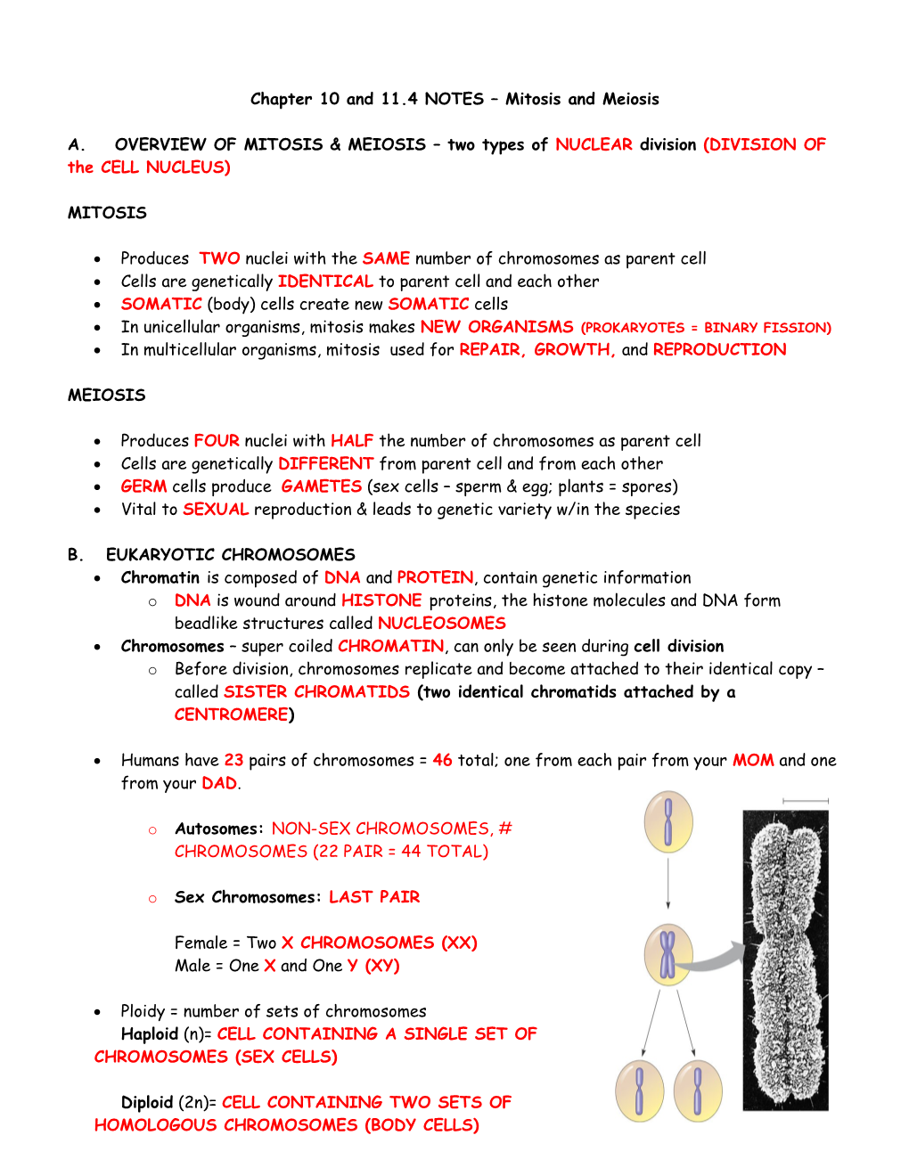 Chapter 11 Notes Reproduction of Eukaryotic Cells