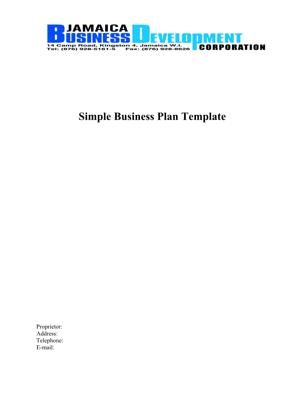 Business Plan Preparation