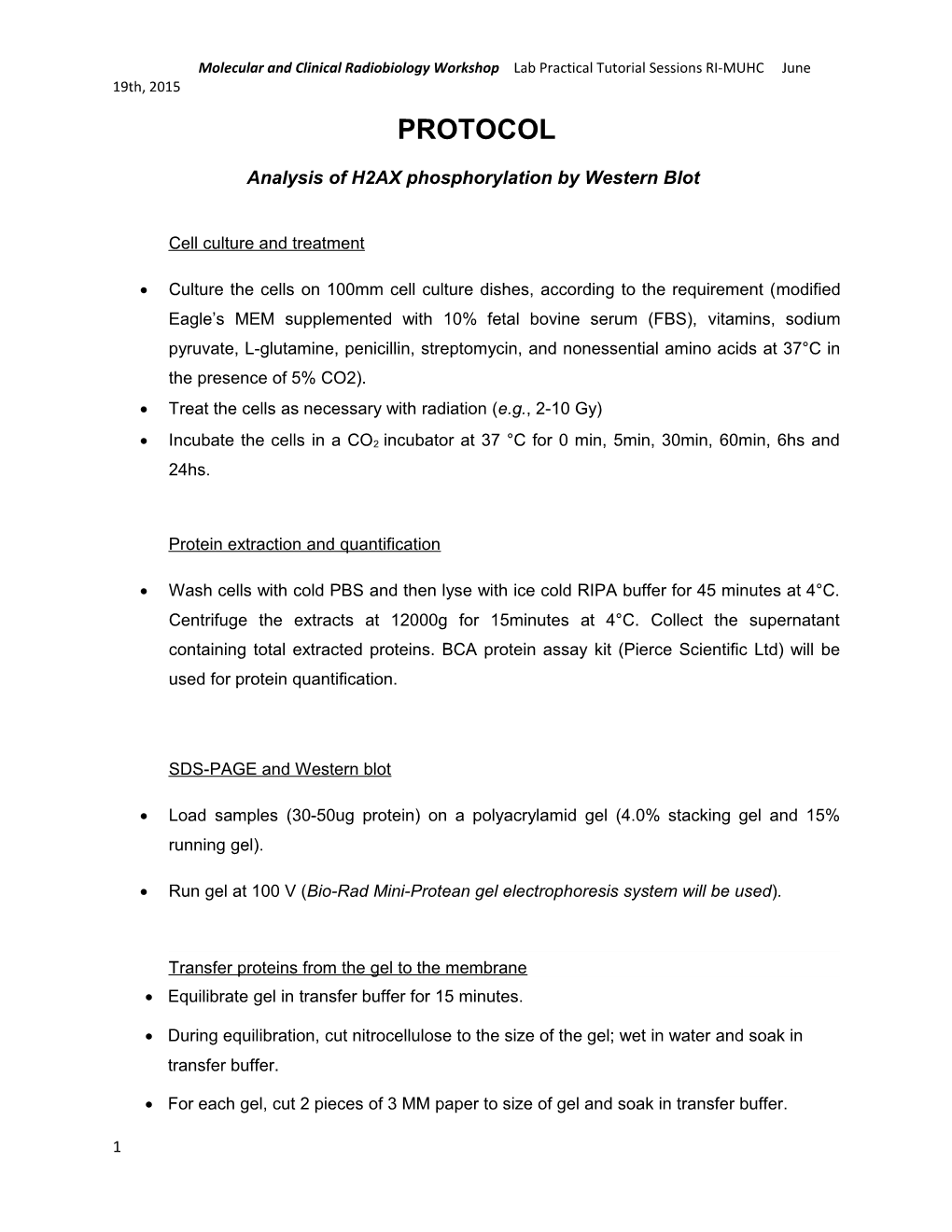 Analysis of H2AX Phosphorylation by Western Blot