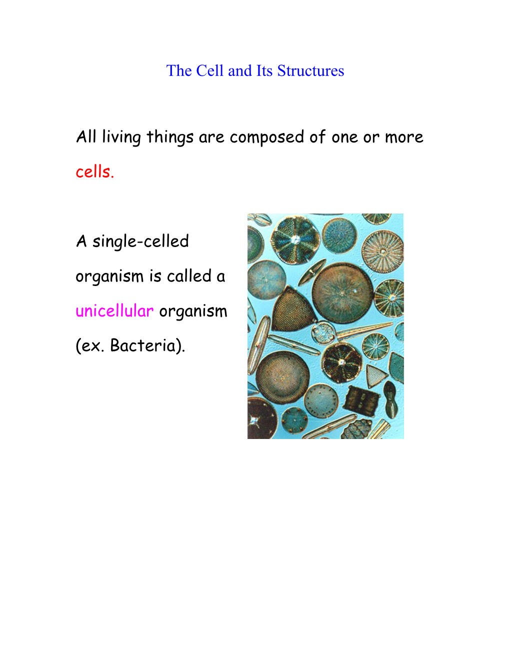 The Cell and Its Structures