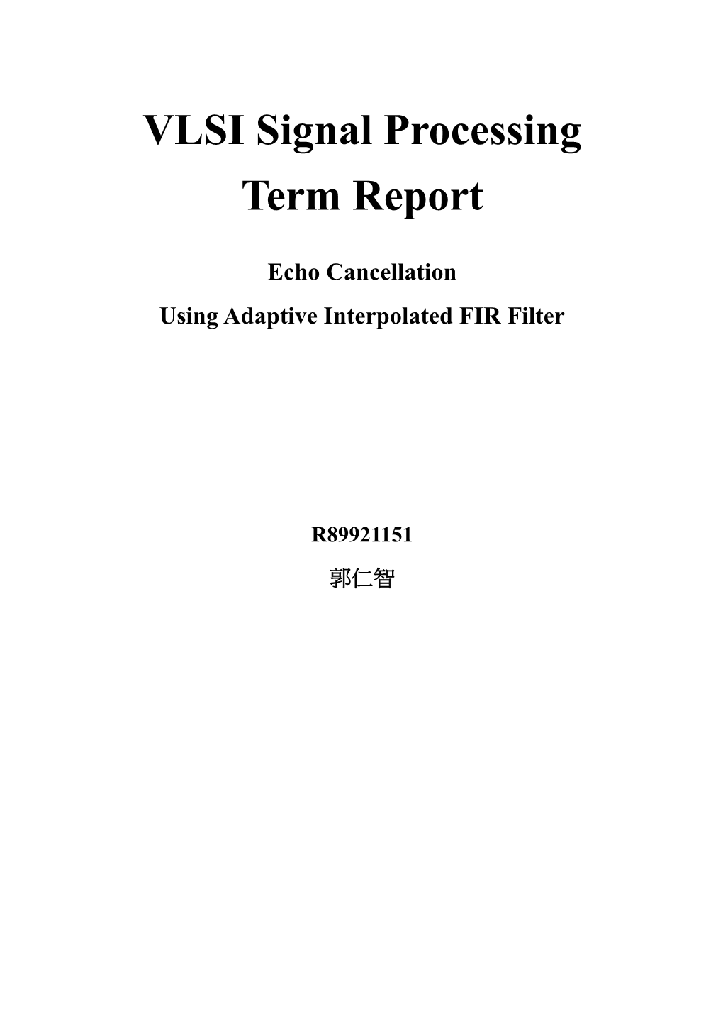 VLSI Signal Processing Term Report