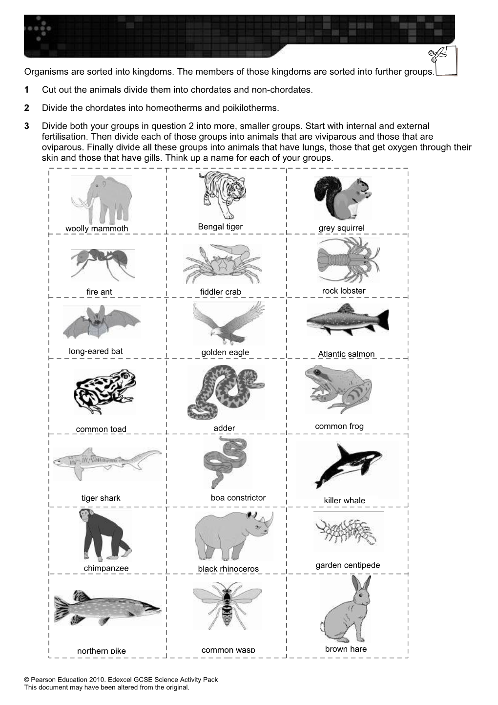 1Cut out the Animals Divide Them Into Chordates and Non-Chordates