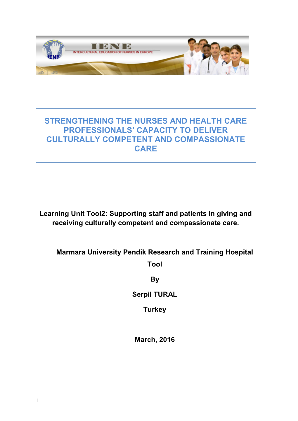 Strengthening the Nurses and Health Care Professionals Capacity to Deliver Culturally