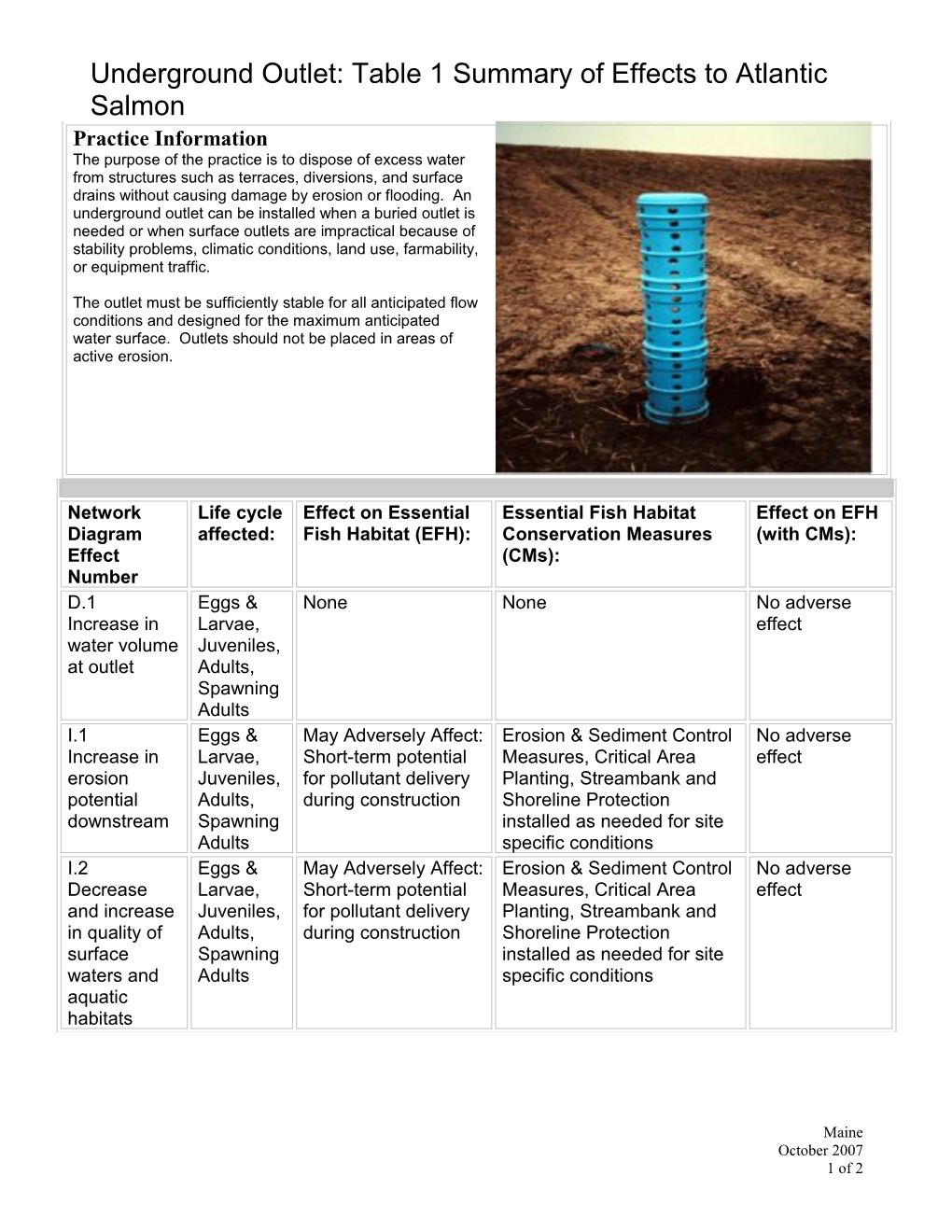 Underground Outlet: Table 1 Summary of Effects to Atlantic Salmon