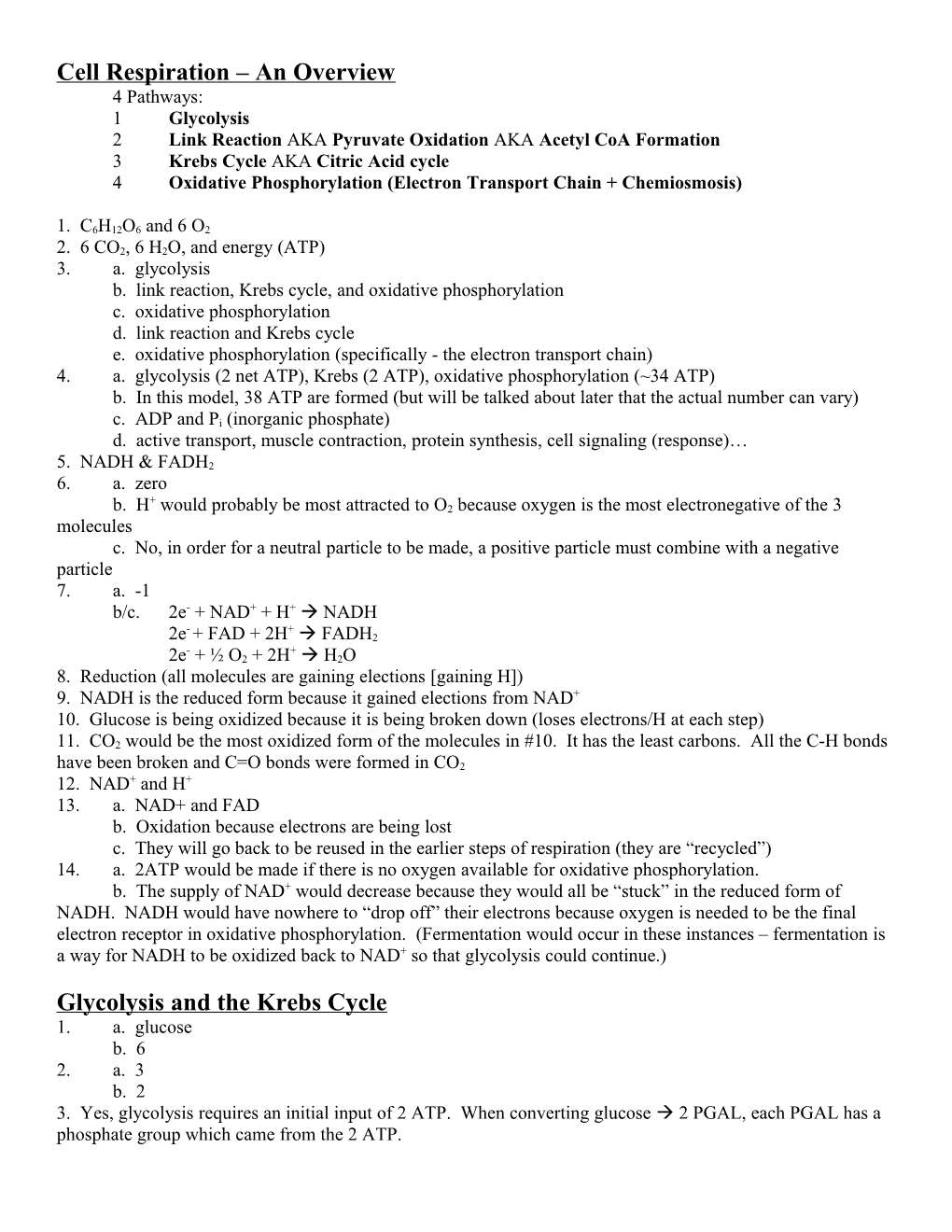 Cell Respiration an Overview