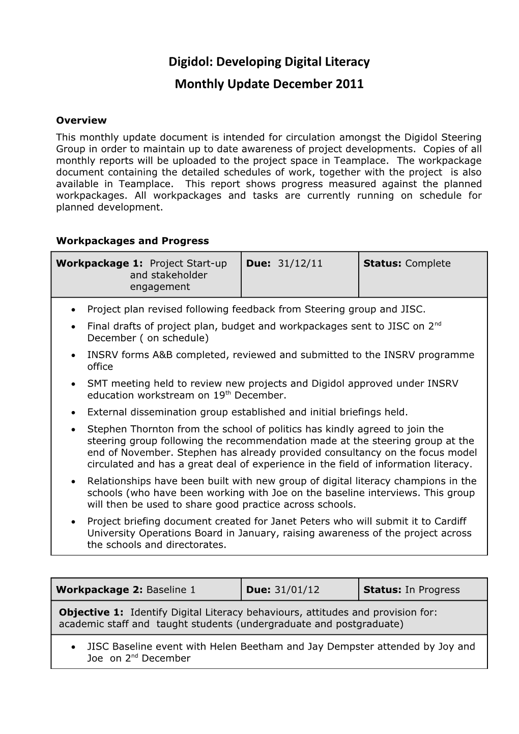 Project Officer Monthly Update Template