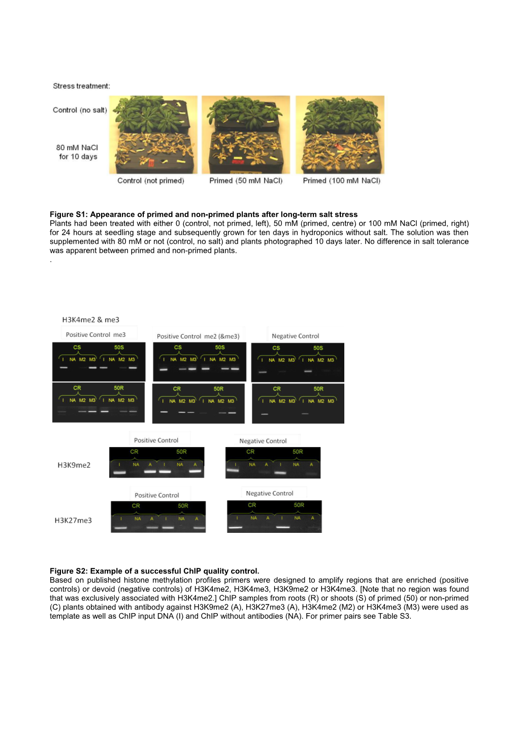 Figure S1: Appearance of Primed and Non-Primed Plants After Long-Term Salt Stress