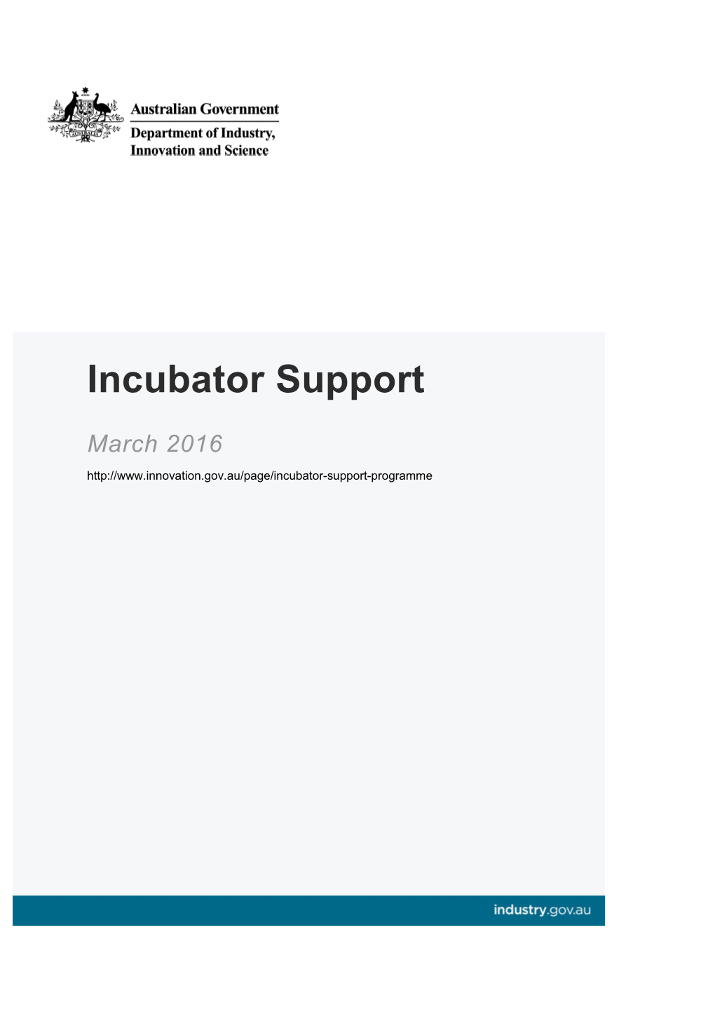 Incubator Support Programme - Discussion Paper