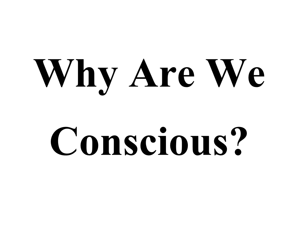 Consciousness Is a Simulator with a Memory for Solving The