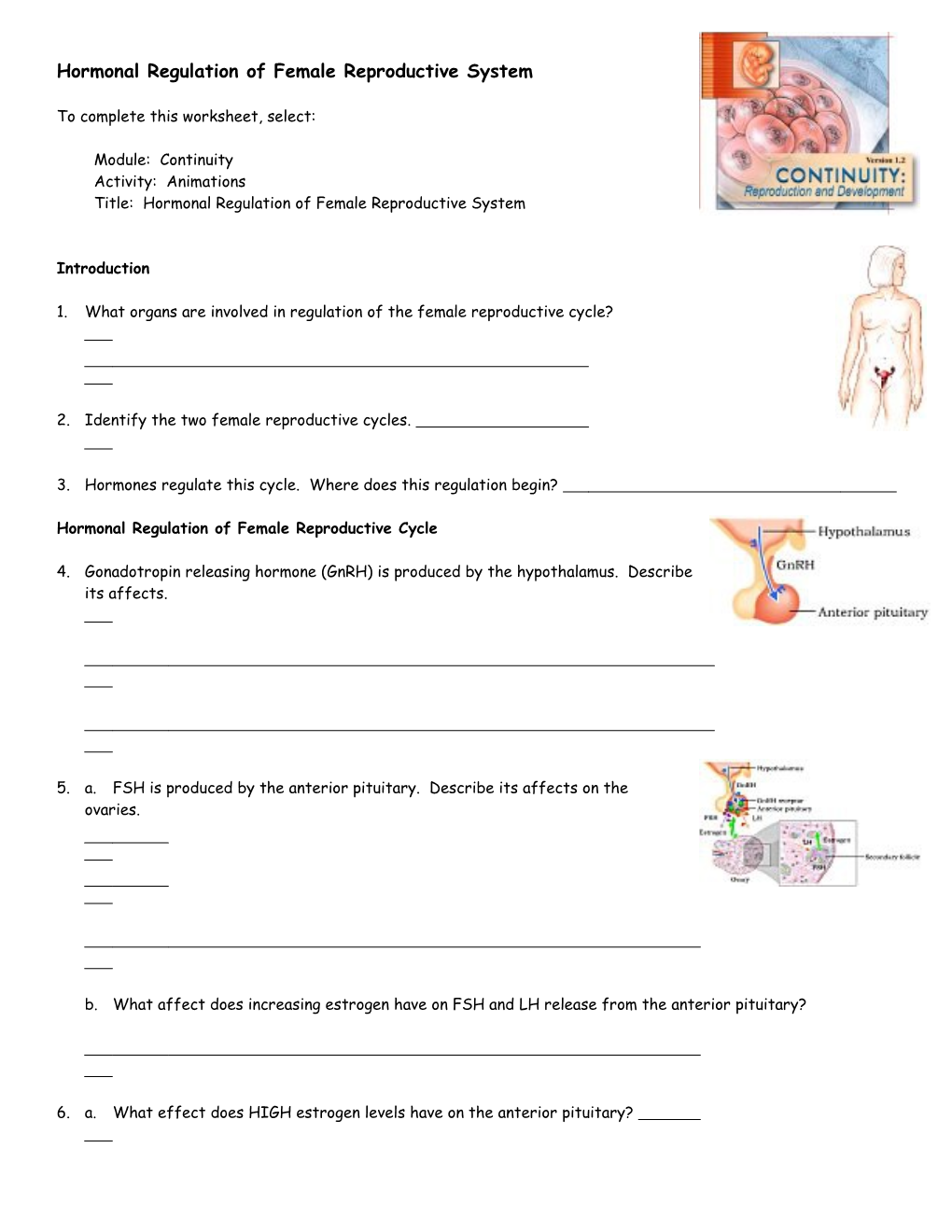 Endocrine System: Overview