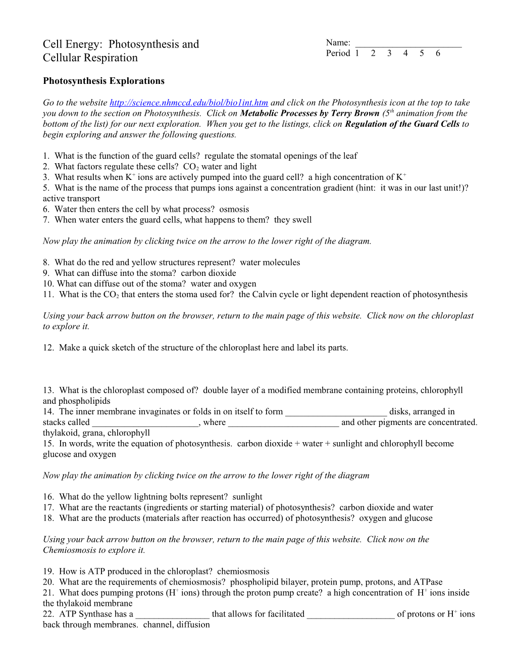 Cell Energy: Photosynthesis and Cellular Respiration