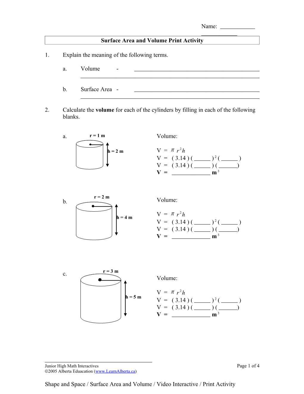 Surface Area and Volume Print Activity