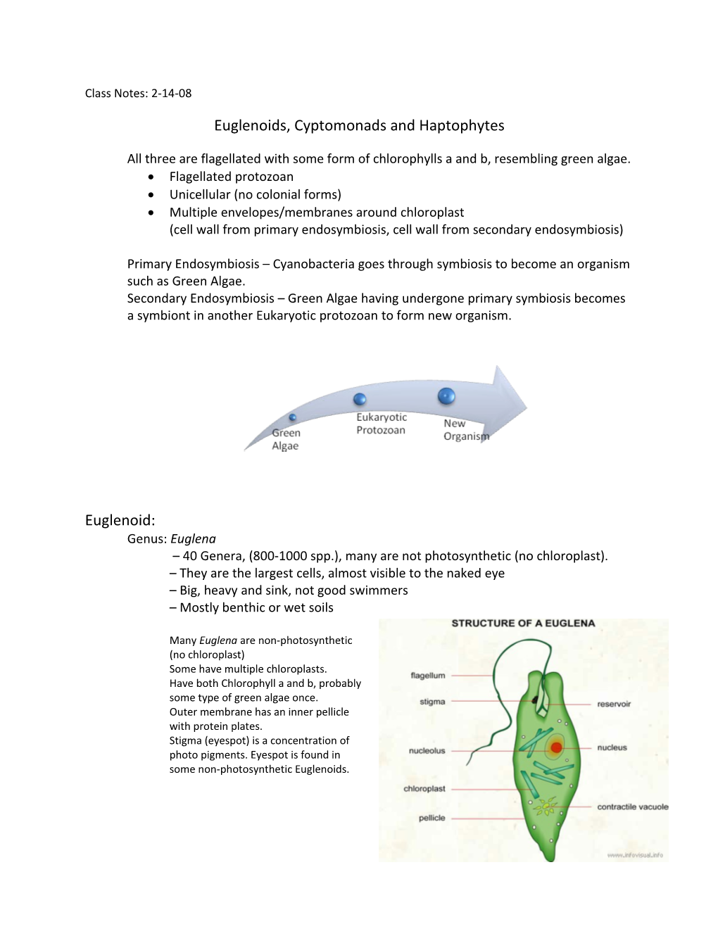 Euglenoids, Cyptomonads and Haptophytes