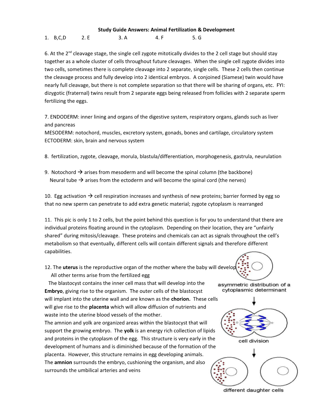 Study Guide Answers: Animal Fertilization & Development