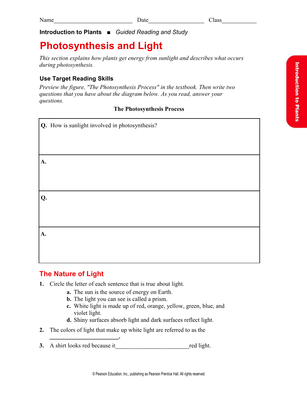 Introduction to Plants Guided Reading and Study