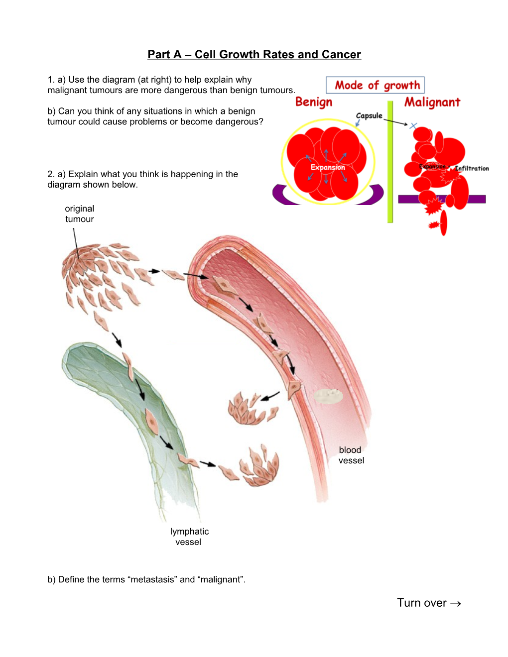 Part a Does the Patient Have Cancer