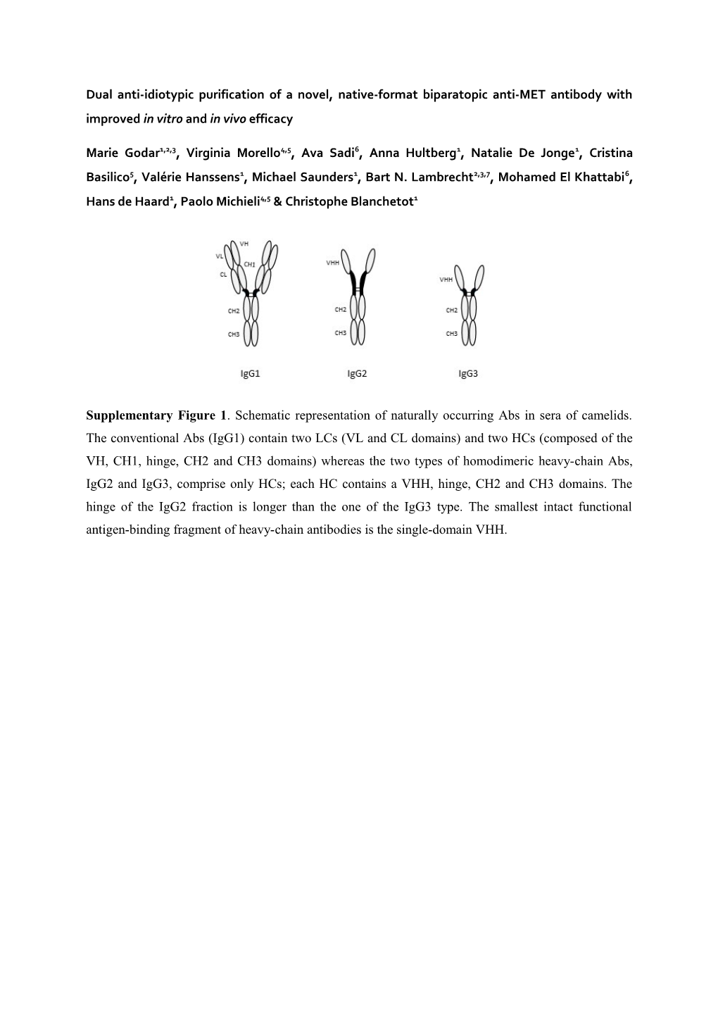 Dual Anti-Idiotypic Purification of a Novel, Native-Format Biparatopic Anti-MET Antibody