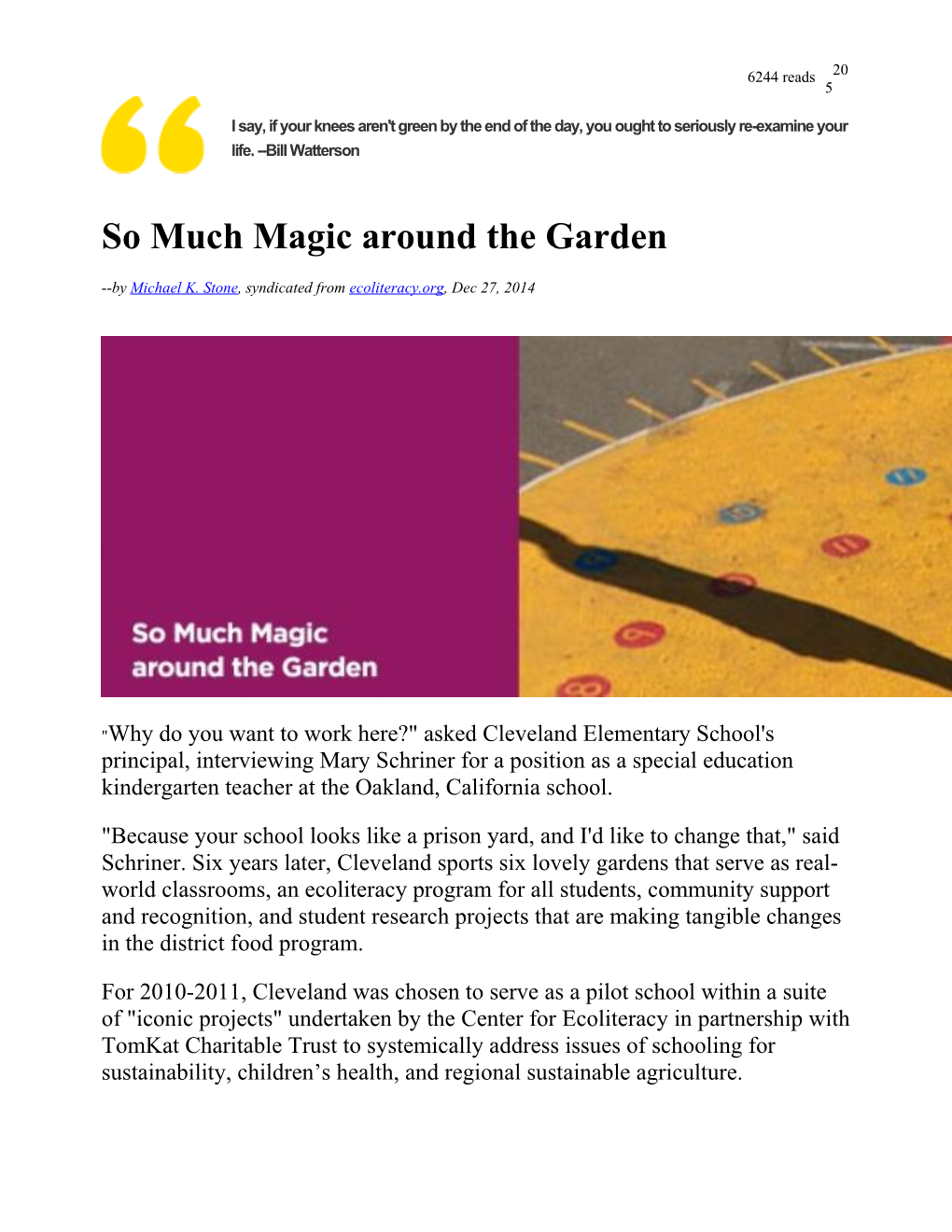 So Much Magic Around the Garden